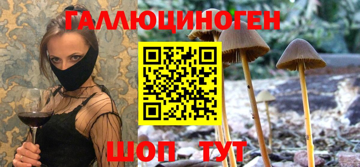 Электросталь  Псилоцибиновые грибы Psilocybine cubensis  Вход с VPN 